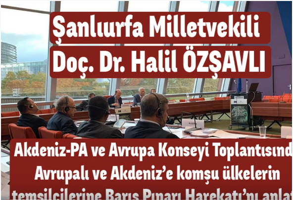 Vekil Halil ÖZŞAVLI: Avrupalı Mevkidaşlarına Barış Pınarı Harekatını anlattı